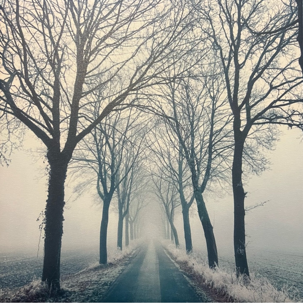 Artwork wall piece foggy Winter Wonderland on 12x12 Canvas